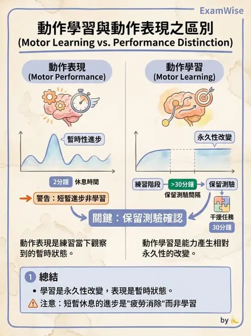 物治 - 動作學習 - AI 圖文解析預覽