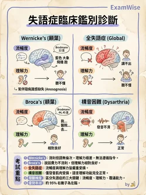 物治 - 腦中風感覺知覺與認知 - AI 圖文解析預覽