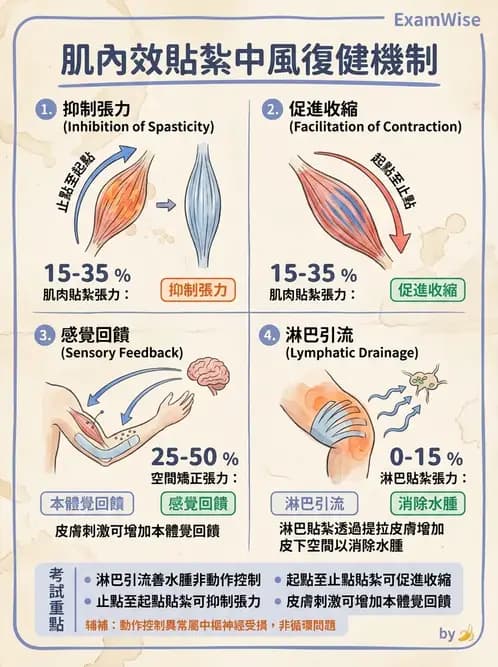 物治 - 腦中風治療手法應用 - AI 圖文解析預覽