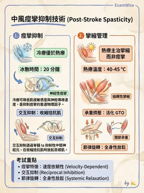 物治 - 腦中風治療手法應用 - AI 圖文解析預覽
