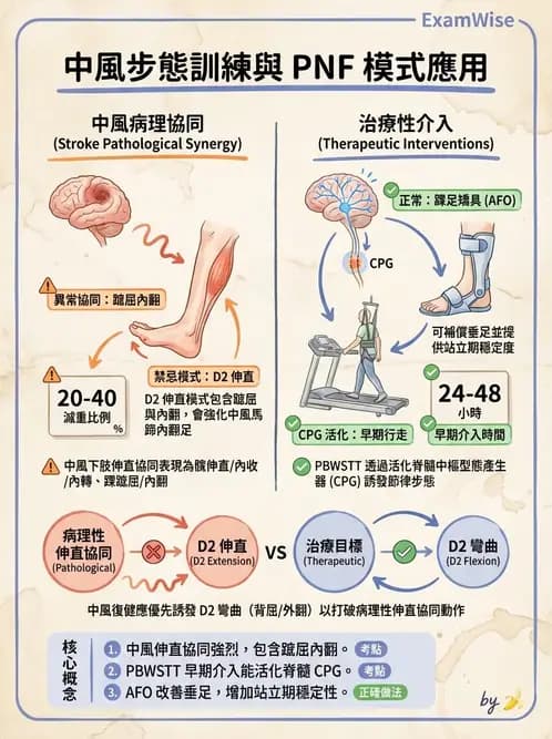 物治 - 腦中風步態分析與行走訓練 - AI 圖文解析預覽
