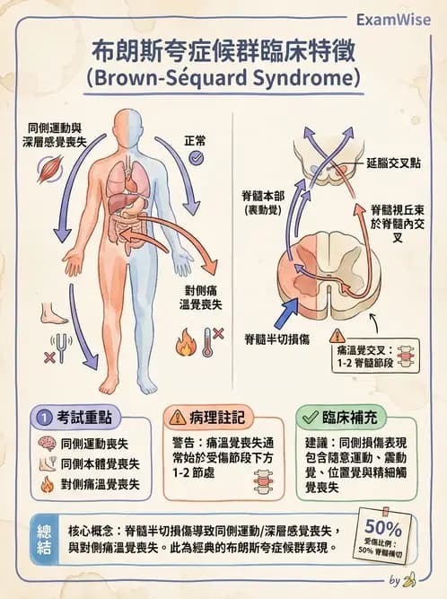 物治 - SCI評估分類與症候群 - AI 圖文解析預覽