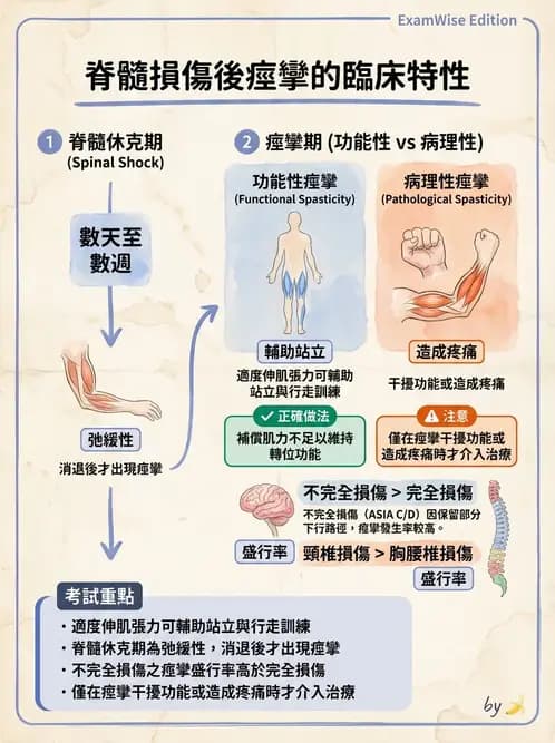 物治 - SCI併發症與呼吸管理 - AI 圖文解析預覽