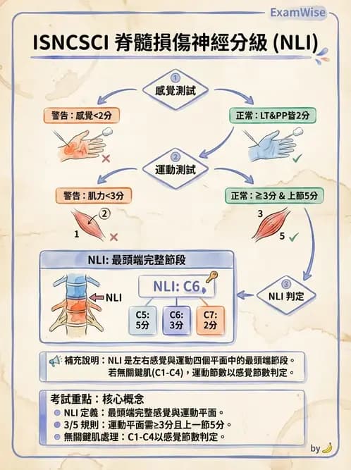 物治 - SCI評估分類與症候群 - AI 圖文解析預覽