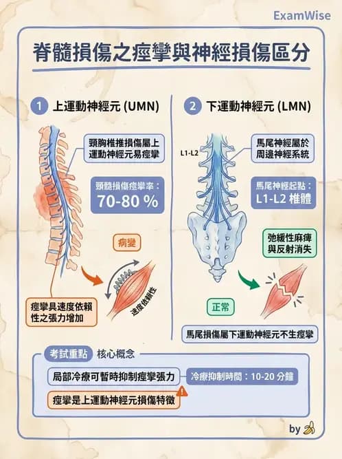 物治 - SCI併發症與呼吸管理 - AI 圖文解析預覽