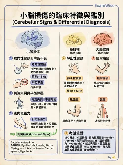物治 - 小腦疾病物理治療 - AI 圖文解析預覽