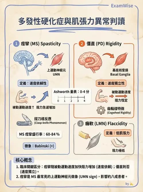 物治 - 多發性硬化症物理治療 - AI 圖文解析預覽