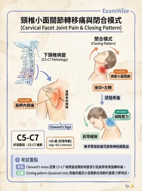 物治 - 頸椎評估與病理 - AI 圖文解析預覽
