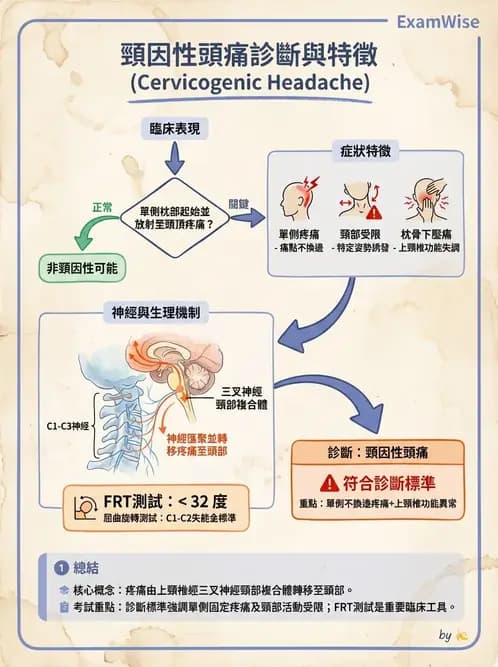 物治 - 頸椎評估與病理 - AI 圖文解析預覽