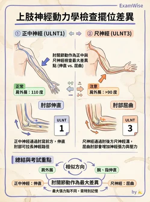物治 - 頸椎評估與病理 - AI 圖文解析預覽