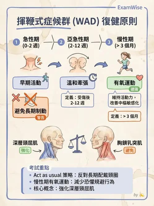物治 - 頸椎評估與病理 - AI 圖文解析預覽