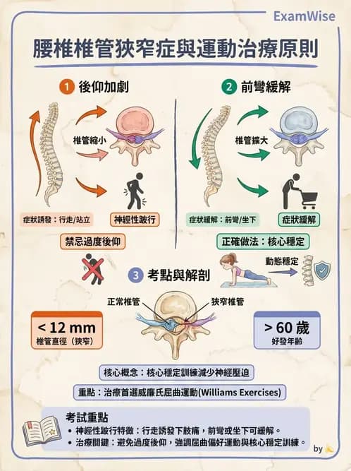 物治 - 腰椎椎間盤與脊椎狹窄 - AI 圖文解析預覽