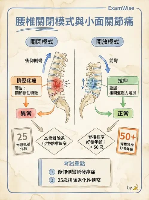 物治 - 腰椎椎間盤與脊椎狹窄 - AI 圖文解析預覽