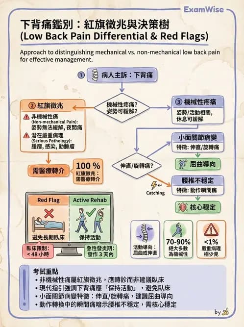 物治 - 腰椎穩定訓練與治療原則 - AI 圖文解析預覽