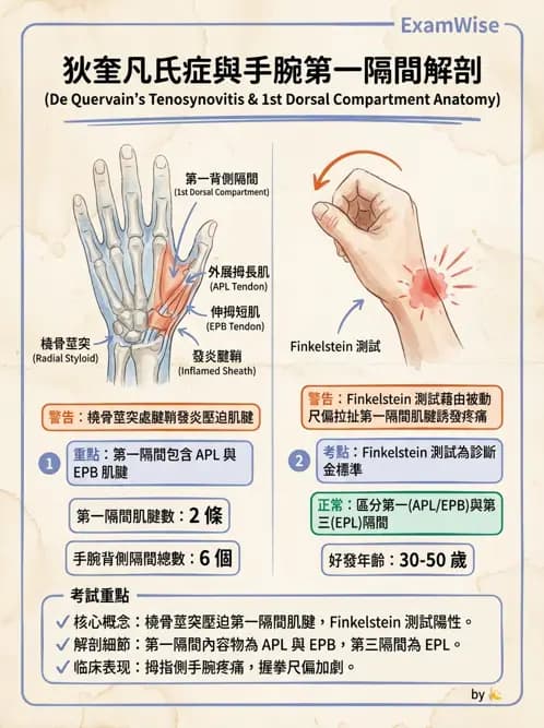 物治 - 腕關節疾病 - AI 圖文解析預覽