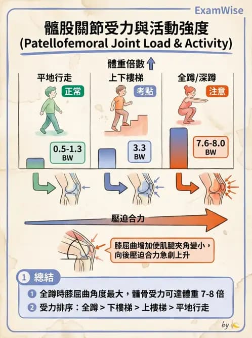物治 - 髕股關節疼痛與伸展機制 - AI 圖文解析預覽