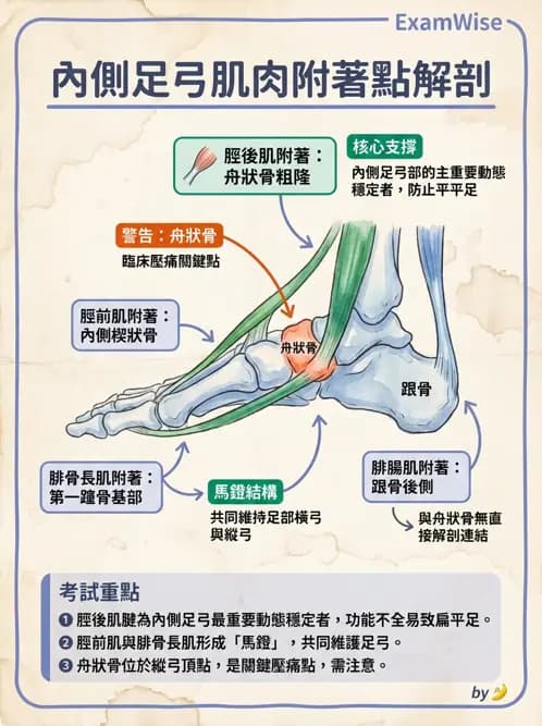 物治 - 足部病變與輔具評估 - AI 圖文解析預覽