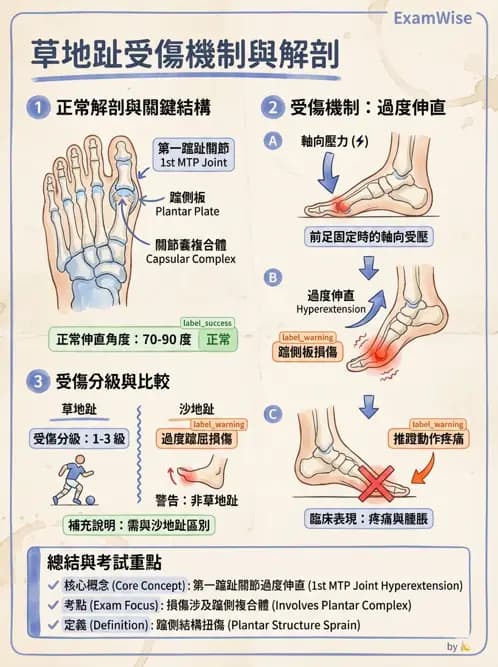 物治 - 足部病變與輔具評估 - AI 圖文解析預覽