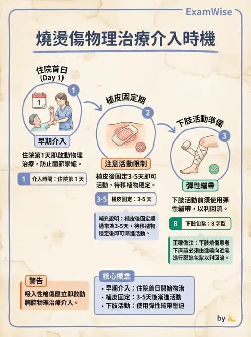 物治 - 皮膚與淋巴系統物理治療 - AI 圖文解析預覽