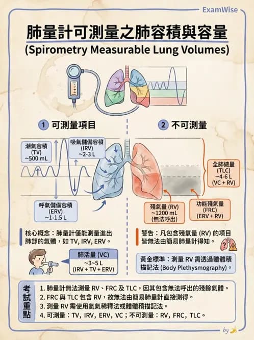 物治 - 肺功能測試與血氣體分析 - AI 圖文解析預覽