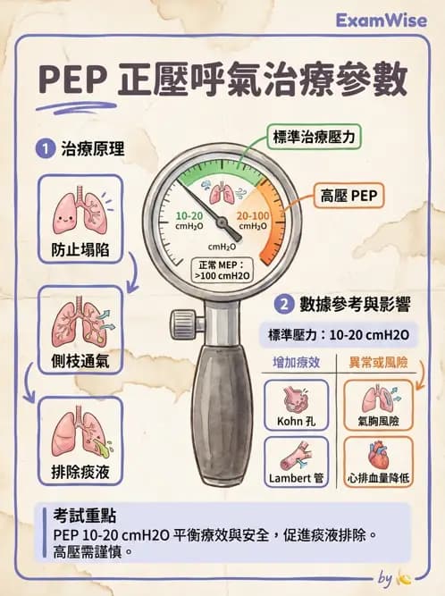 物治 - 氣道廓清與呼吸訓練技術 - AI 圖文解析預覽