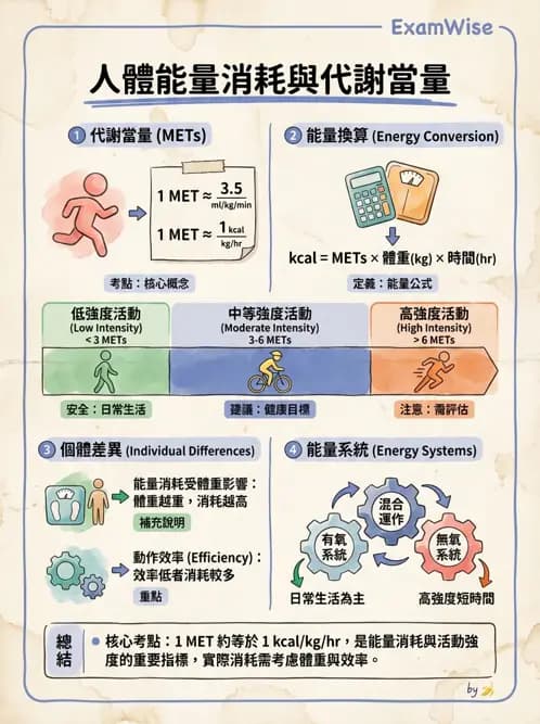 物治 - 運動生理學與能量代謝 - AI 圖文解析預覽