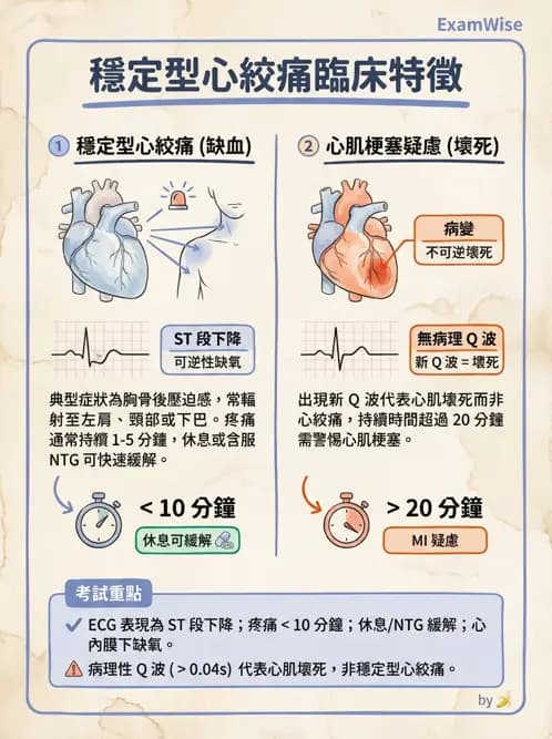 物治 - 冠狀動脈疾病與心臟手術 - AI 圖文解析預覽