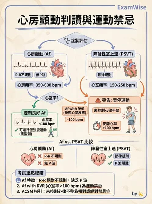 物治 - 心電圖判讀 - AI 圖文解析預覽