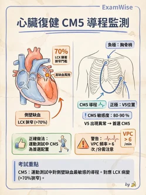 物治 - 心臟復健與運動處方 - AI 圖文解析預覽