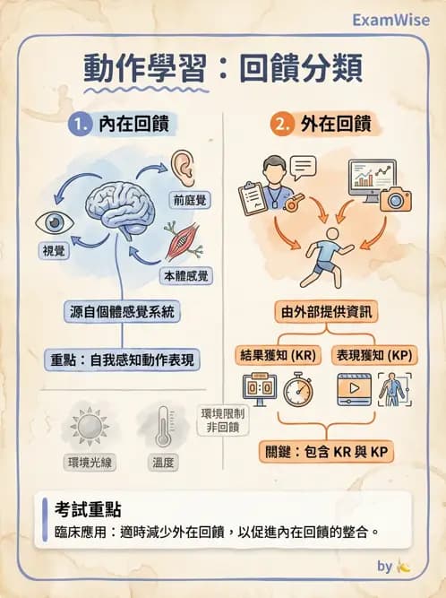 物治 - 小兒物理治療基礎與原理 - AI 圖文解析預覽