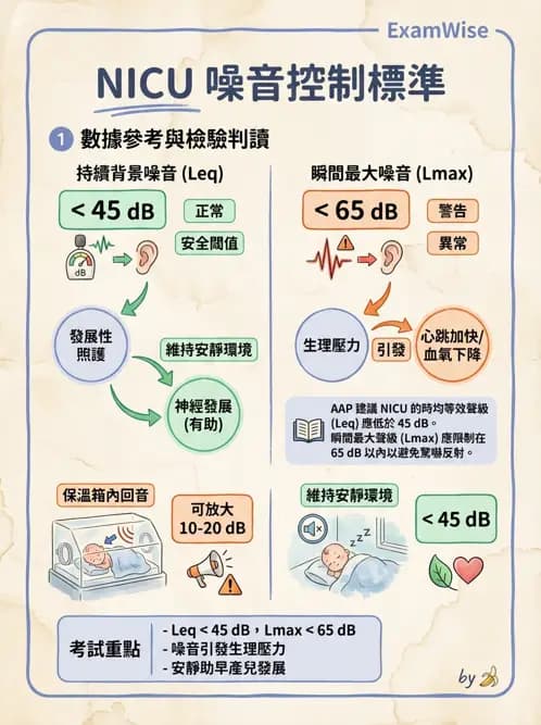物治 - 小兒呼吸疾患與NICU物理治療 - AI 圖文解析預覽
