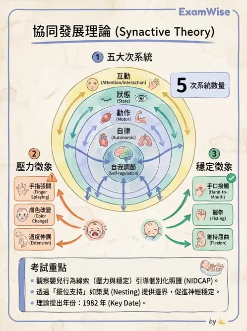 物治 - 小兒物理治療基礎與原理 - AI 圖文解析預覽
