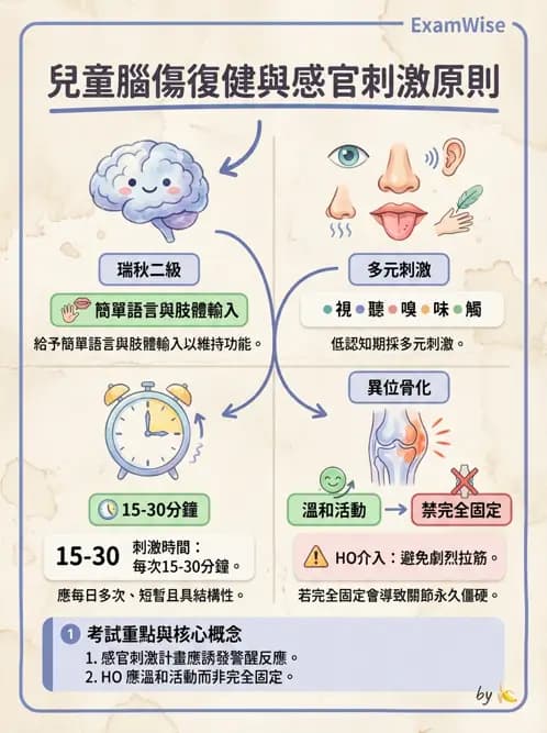 物治 - 脊柱裂、神經肌肉疾病與腦傷 - AI 圖文解析預覽