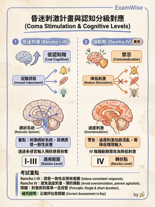 物治 - 脊柱裂、神經肌肉疾病與腦傷 - AI 圖文解析預覽