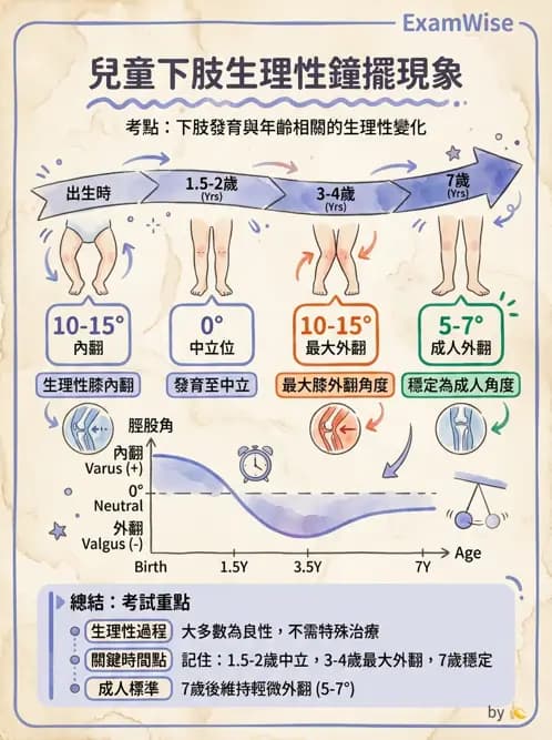 物治 - 小兒肌肉骨骼疾患物理治療 - AI 圖文解析預覽