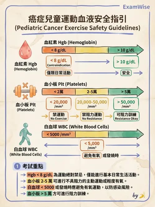 物治 - 小兒心臟、癌症與外傷物理治療 - AI 圖文解析預覽