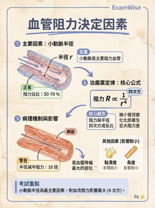 物治 - 心臟血管生理 - AI 圖文解析預覽