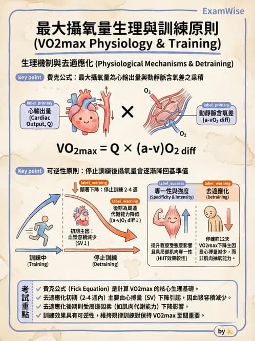 物治 - 運動與環境心肺生理 - AI 圖文解析預覽