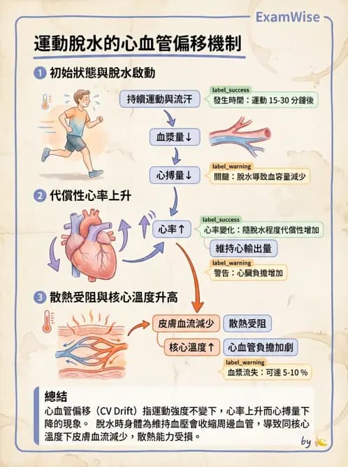 物治 - 運動與環境心肺生理 - AI 圖文解析預覽