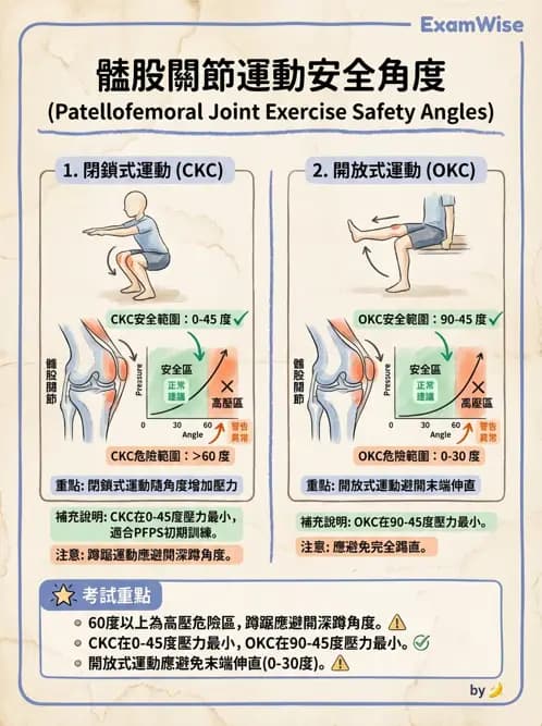 物治 - 膝關節肌動學與生物力學 - AI 圖文解析預覽