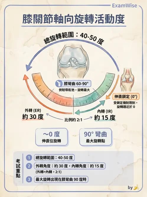 物治 - 膝關節肌動學與生物力學 - AI 圖文解析預覽