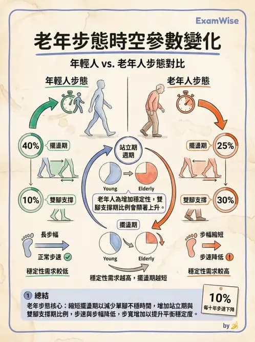物治 - 步態週期與生物力學 - AI 圖文解析預覽