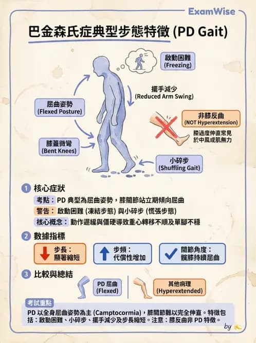 物治 - 異常步態與姿勢分析 - AI 圖文解析預覽