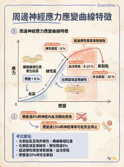物治 - 組織生物力學 - AI 圖文解析預覽
