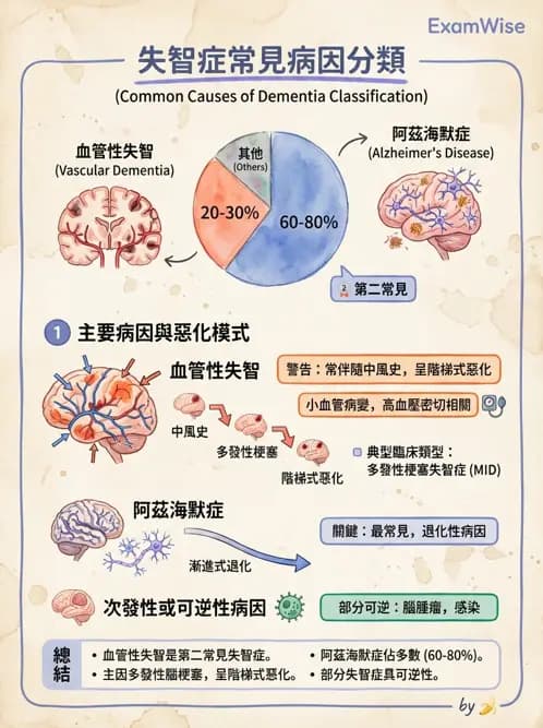 物治 - 神經退化性疾病 - AI 圖文解析預覽