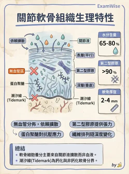 物治 - 骨科與外科疾病 - AI 圖文解析預覽
