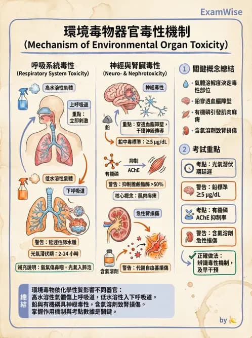 物治 - 環境與職業衛生 - AI 圖文解析預覽