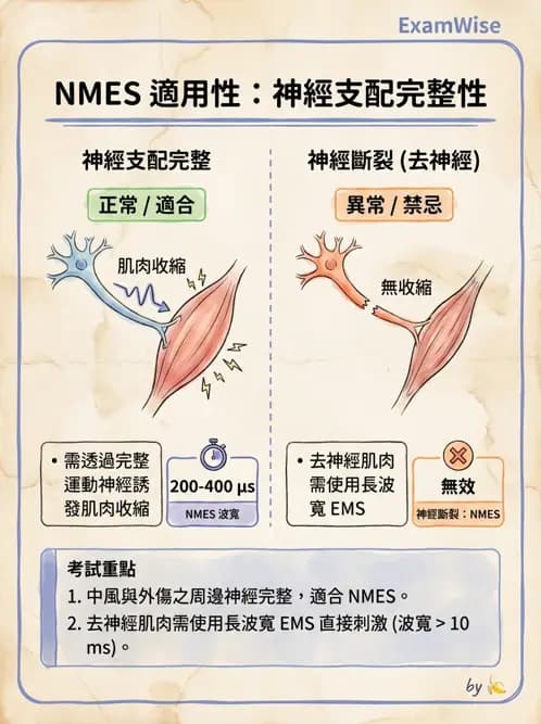 物治 - 神經肌肉電刺激 - AI 圖文解析預覽