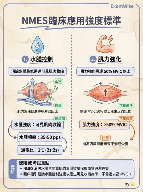 物治 - 神經肌肉電刺激 - AI 圖文解析預覽