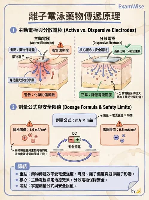 物治 - 離子導入法 - AI 圖文解析預覽
